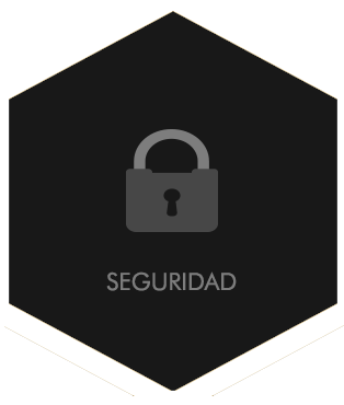 SEGURIDAD-EXAGONO SEGURIDAD-EXAGONO